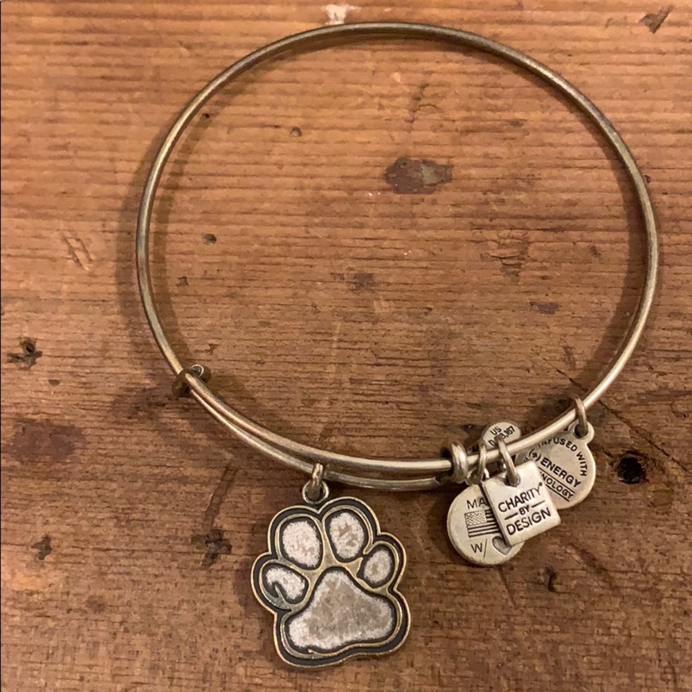 Alex and Ani paw print bracelet.